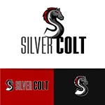 AC Imaging - Silver Colt